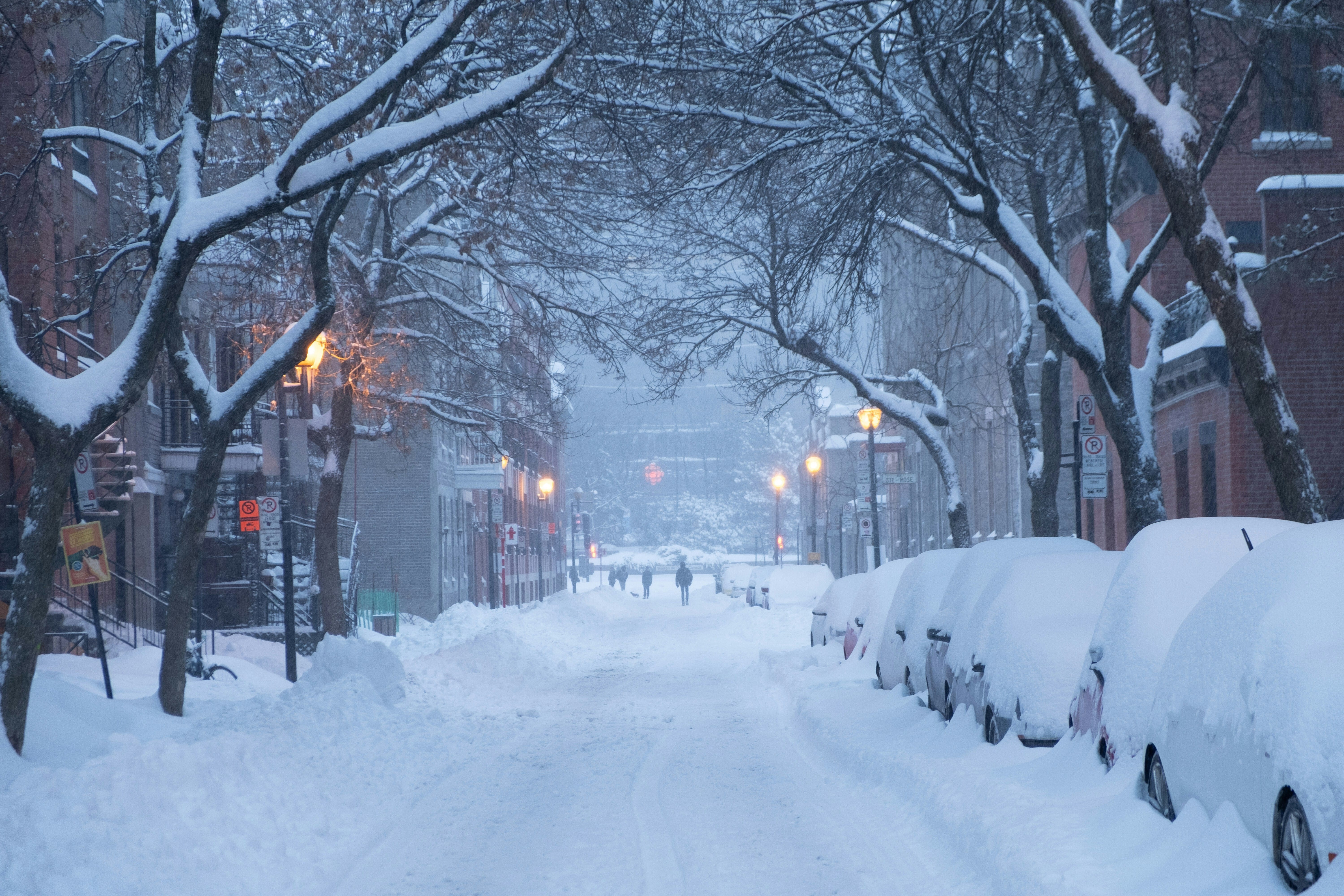 Street in Montreal during the winter