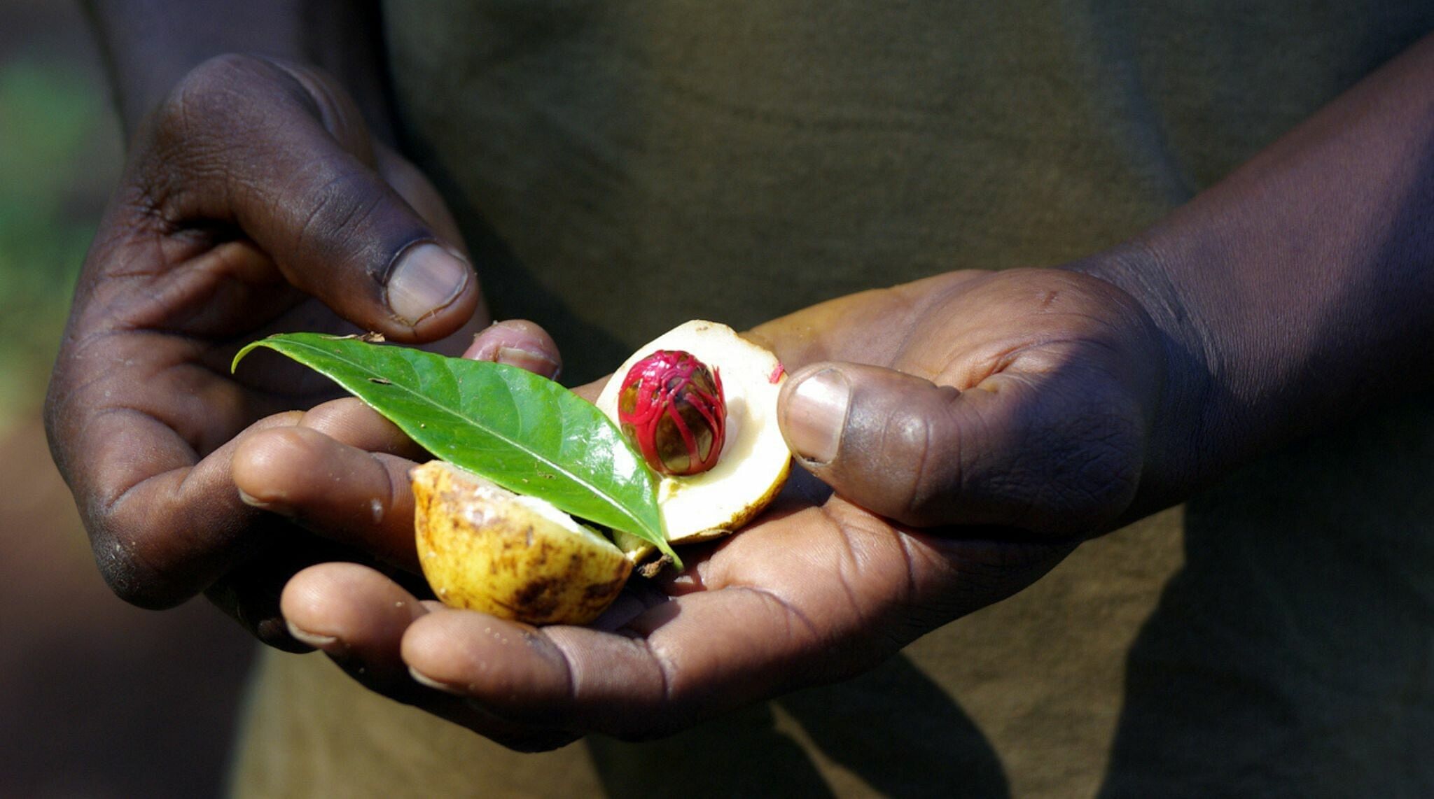 ou partir pour la saint valentin : zanzibar