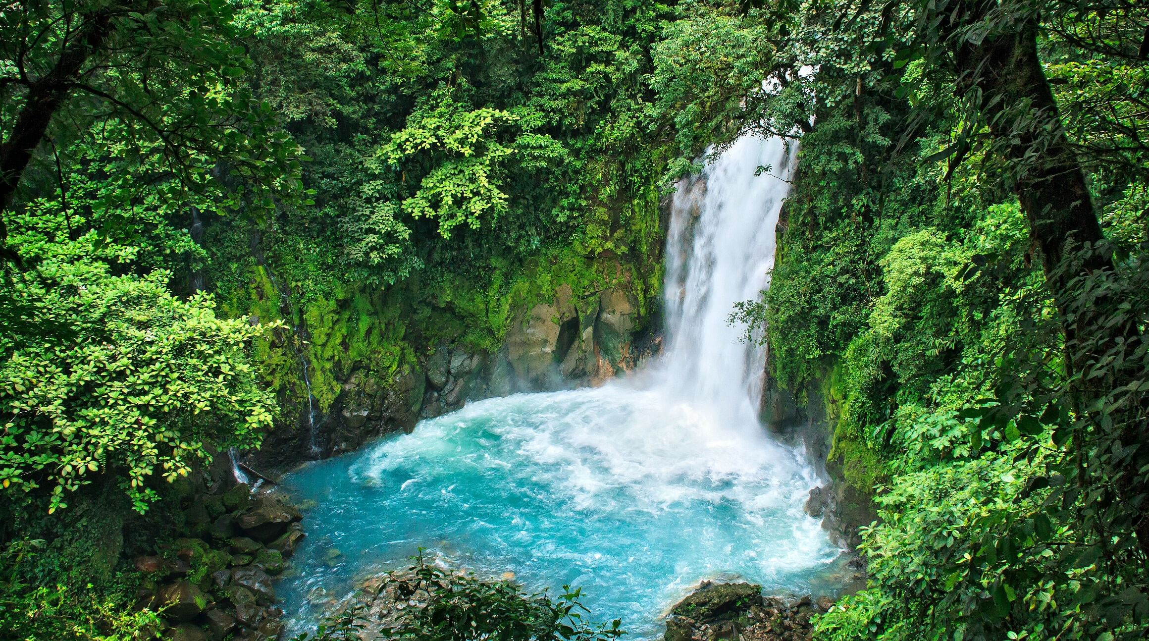 Rio Celeste Waterfall in Tenorio Volcano National Park, Costa Rica