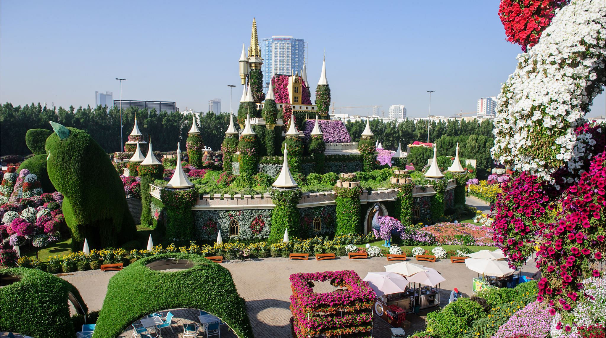 Miracle Gardens in Dubai