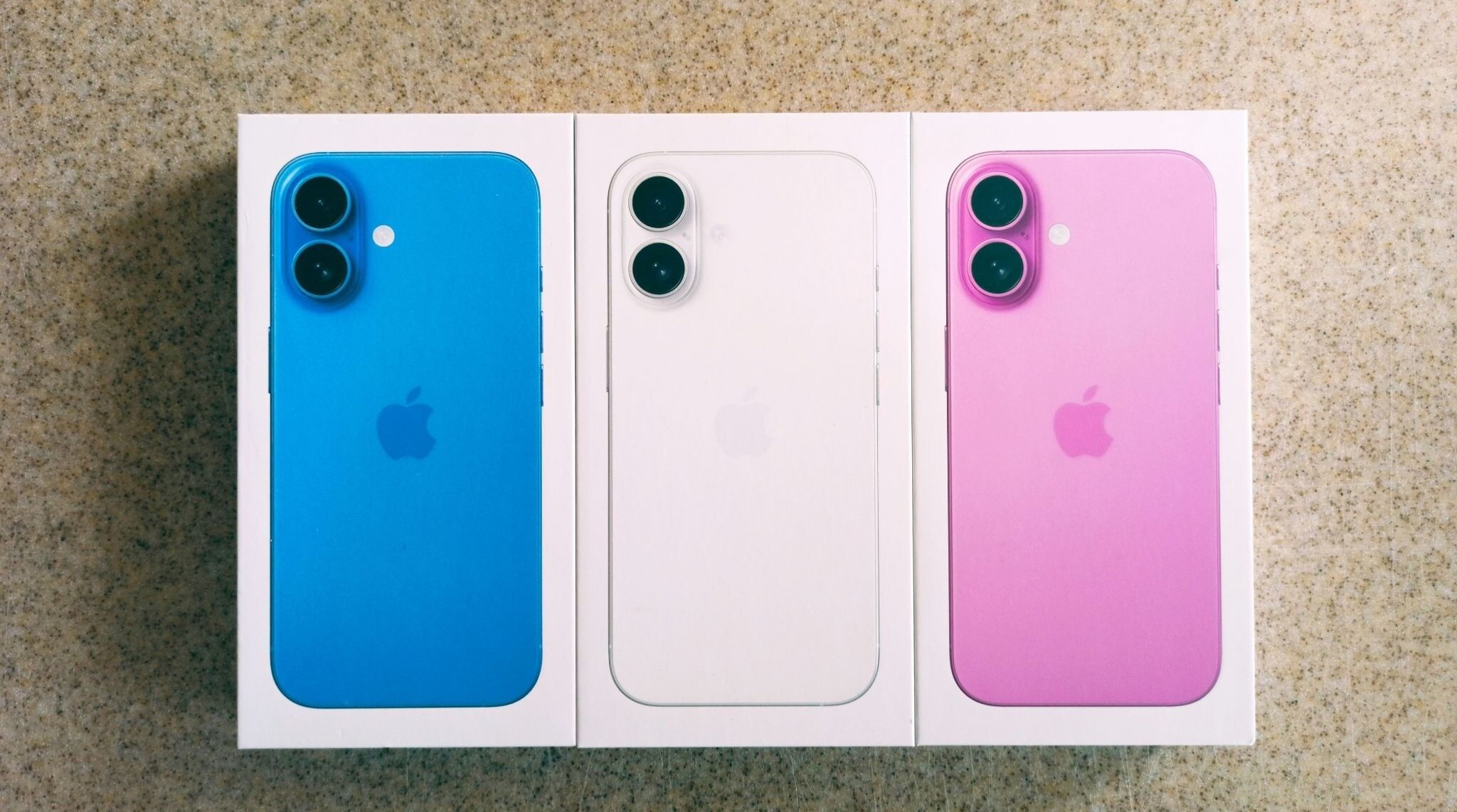 iphone 16 en couleurs : bleu, blanc, rose