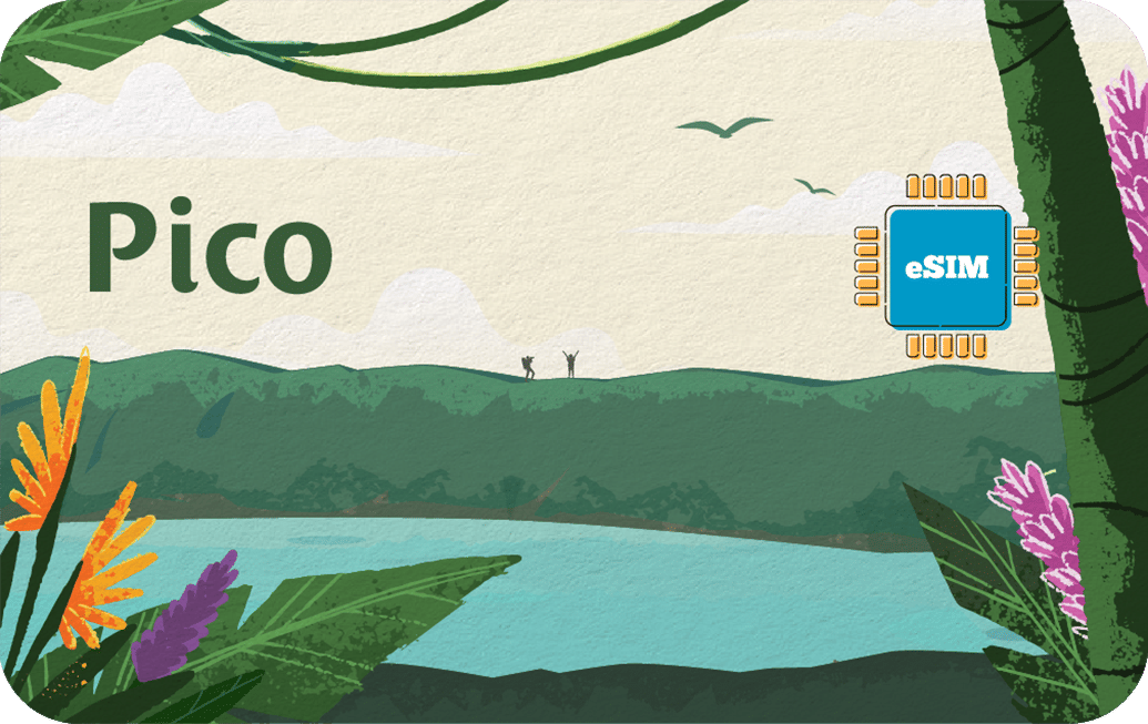 Pico
