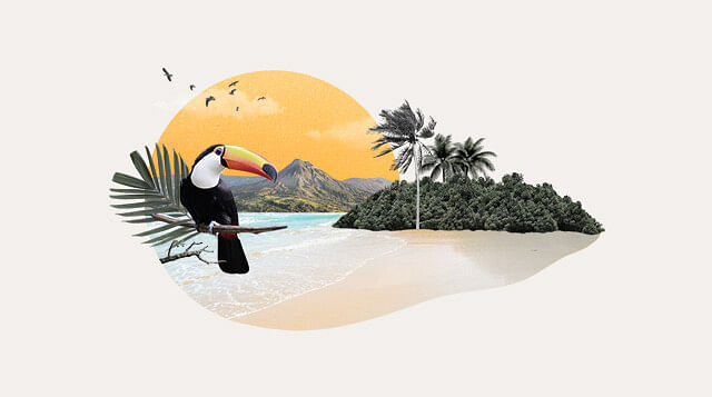 Le Costa Rica en août : météo, activités et bons plans