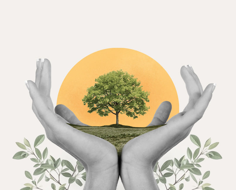 10 Tips Perjalanan Berkelanjutan untuk Wisatawan yang Sadar