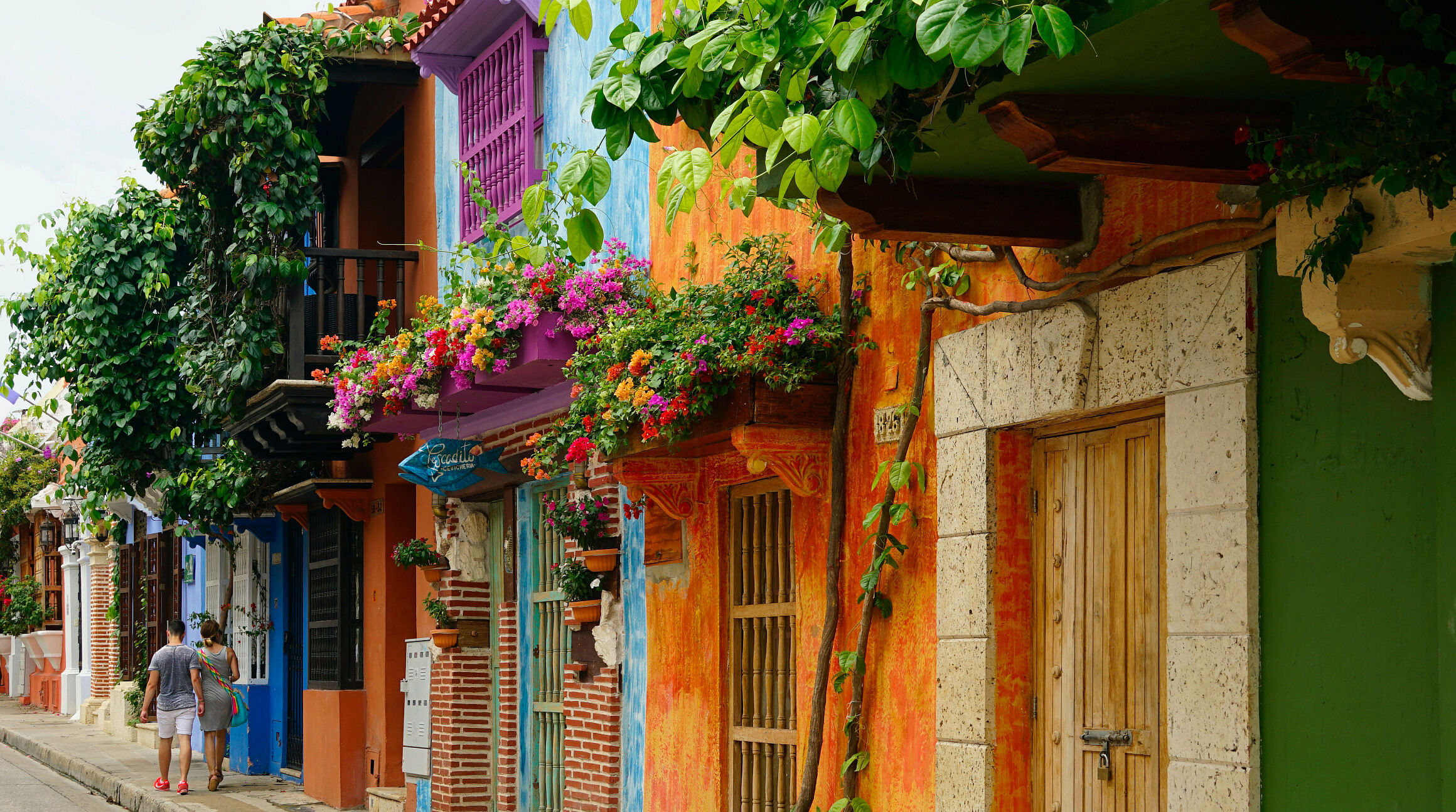 Building with bougainvillea in Cartagena Colombia Old Town