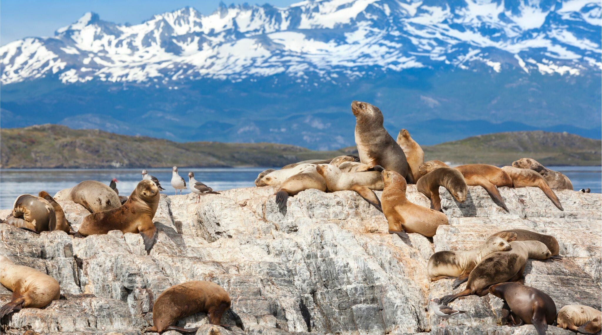 Ushuaia