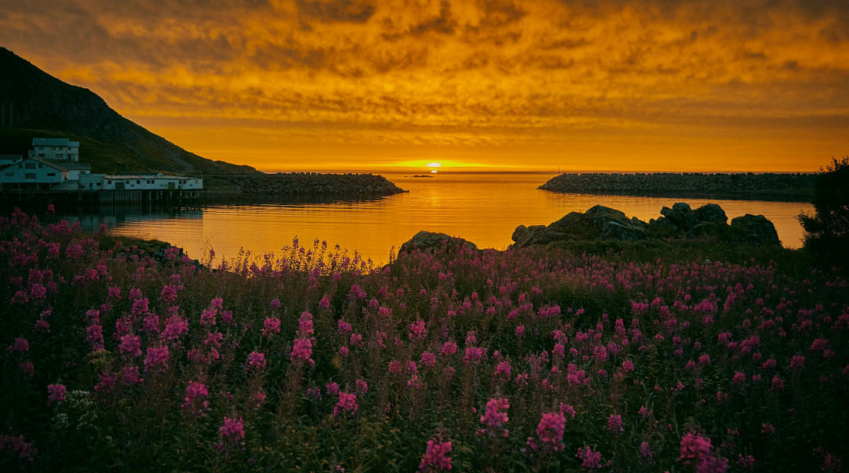Midnight sun in Nykvåg, Norway