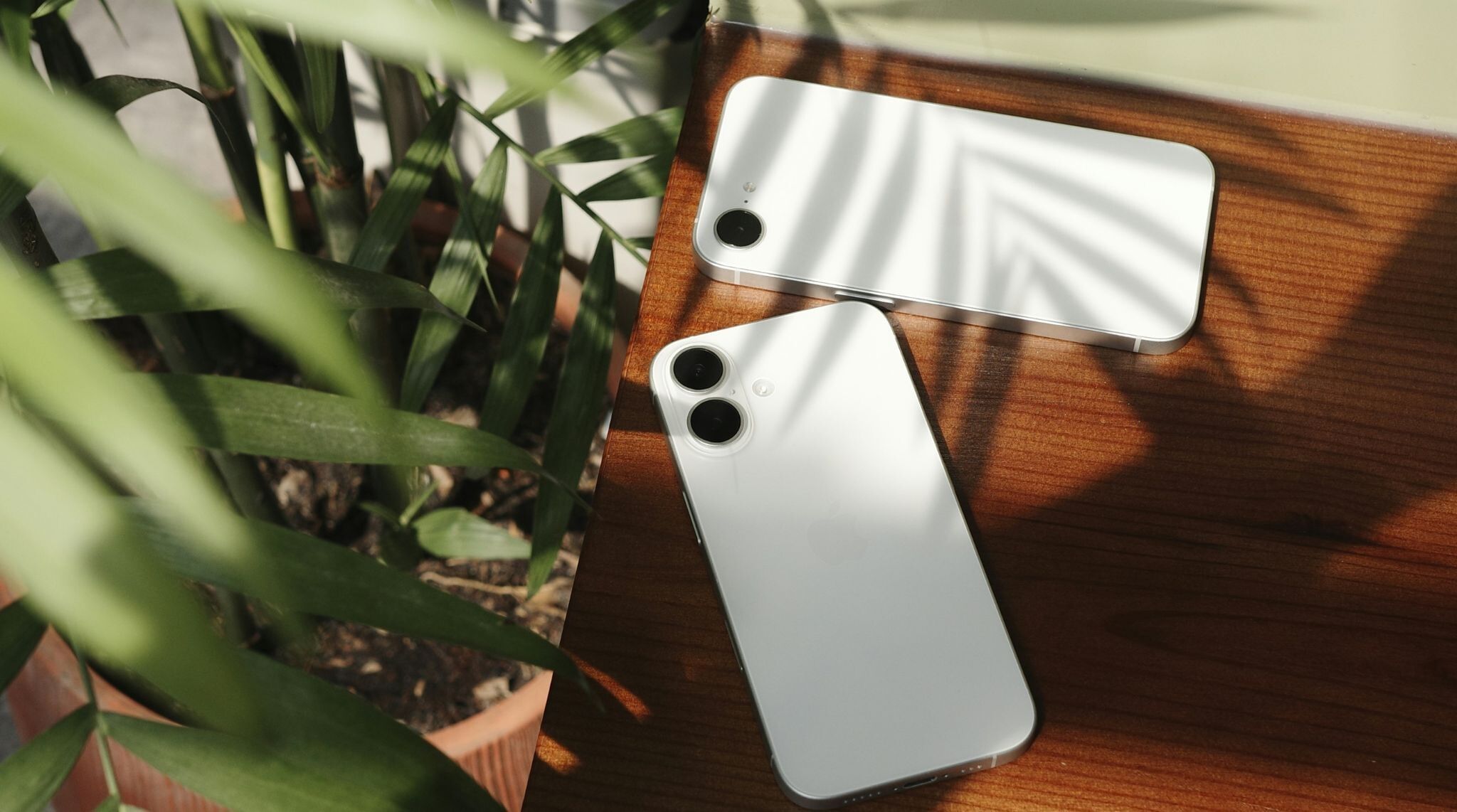 L’iPhone 16 et l’iPhone 16e côte à côte pour le transferts d'eSIM