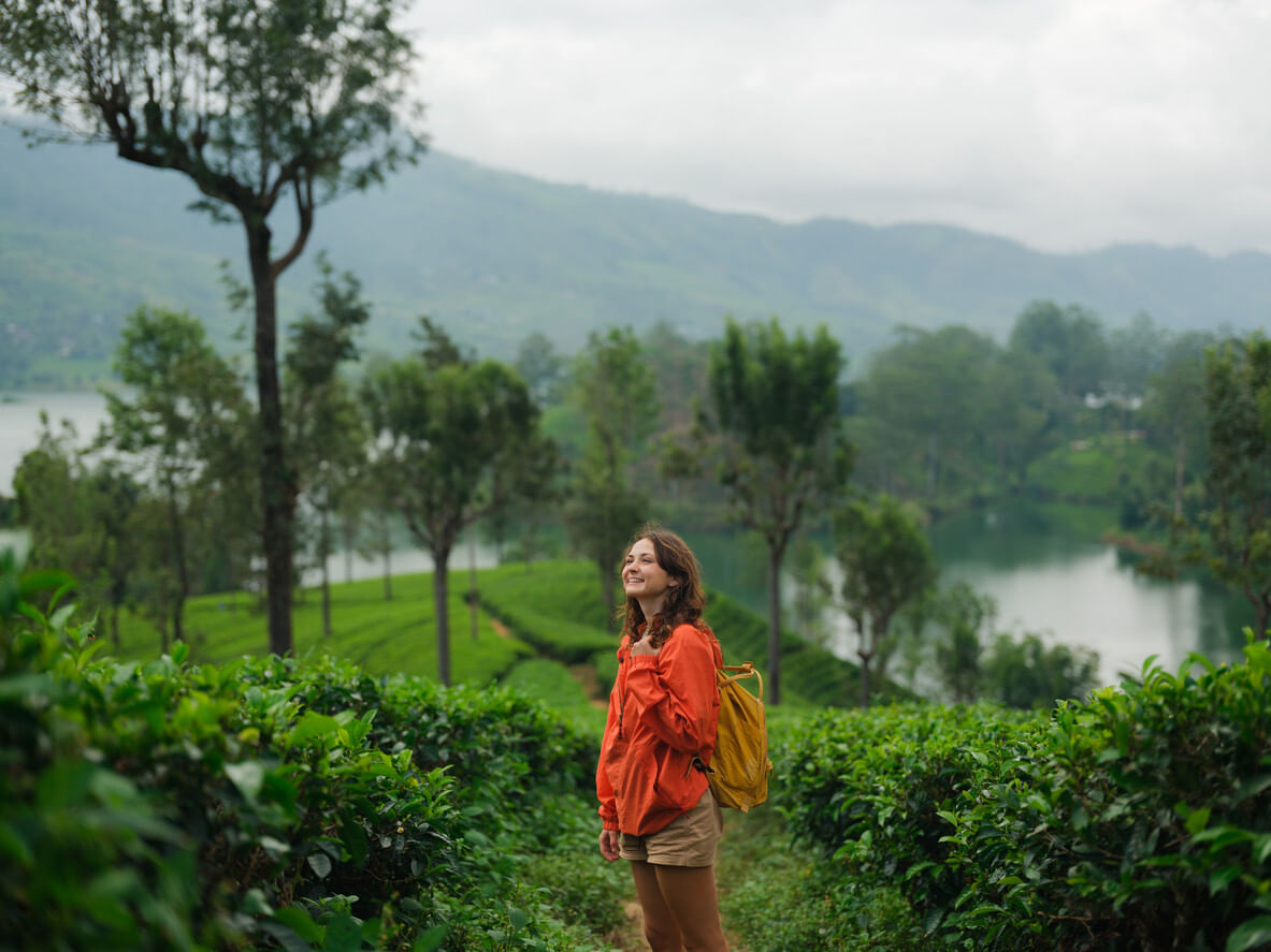 Wann ist Regenzeit in Sri Lanka? | Das musst du wissen