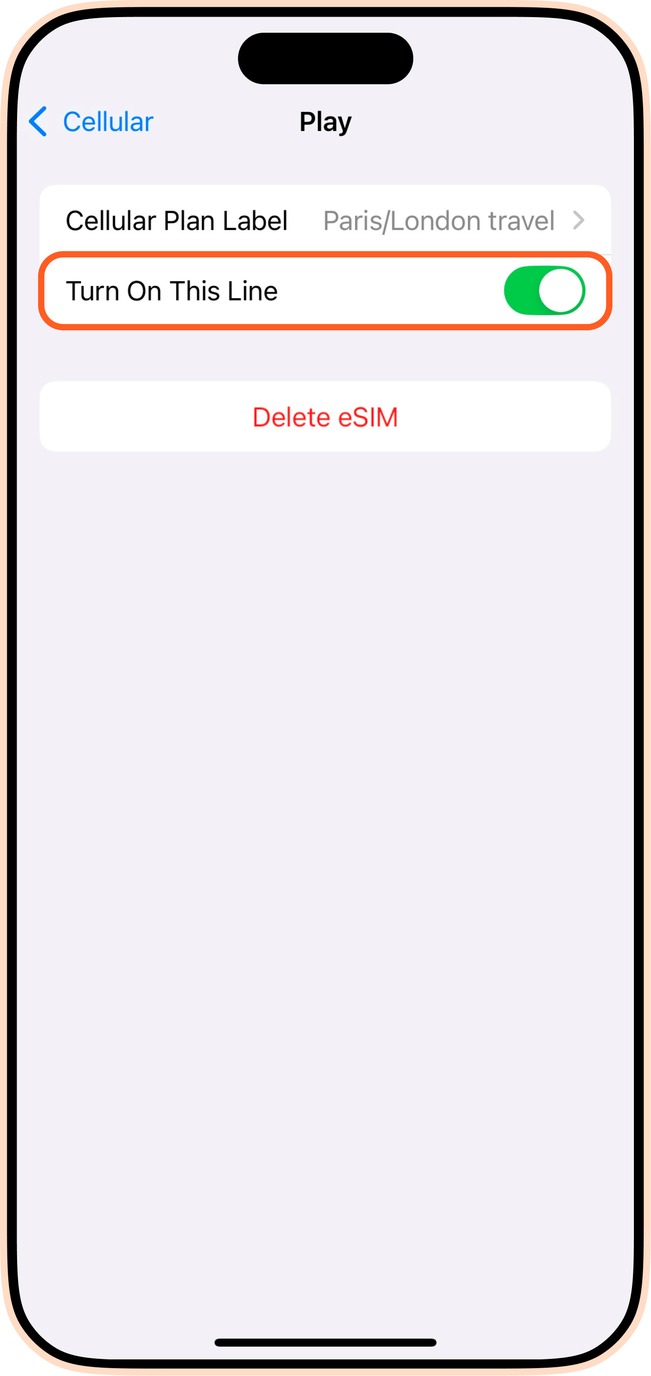 Turn on eSIM iPhone