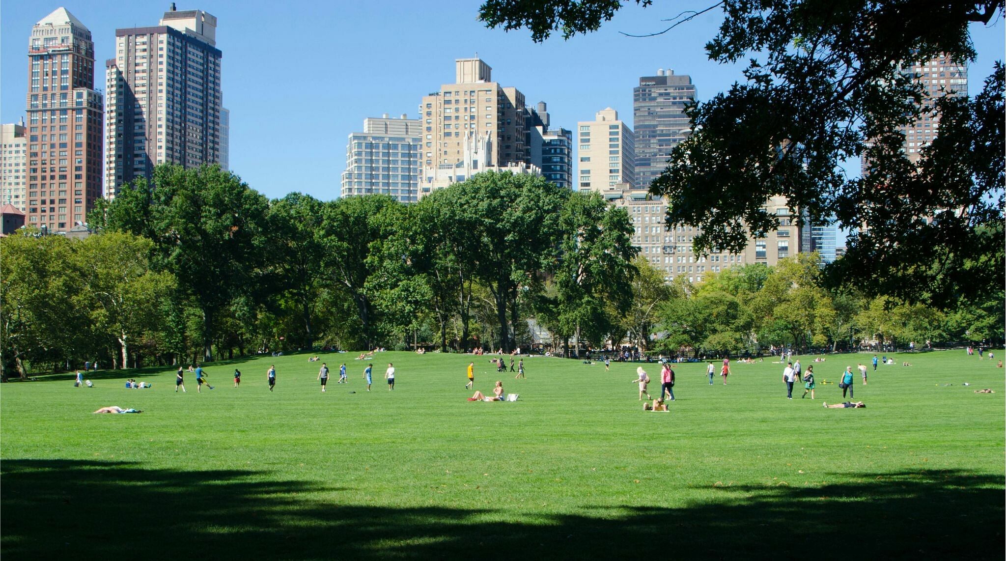 Central Park