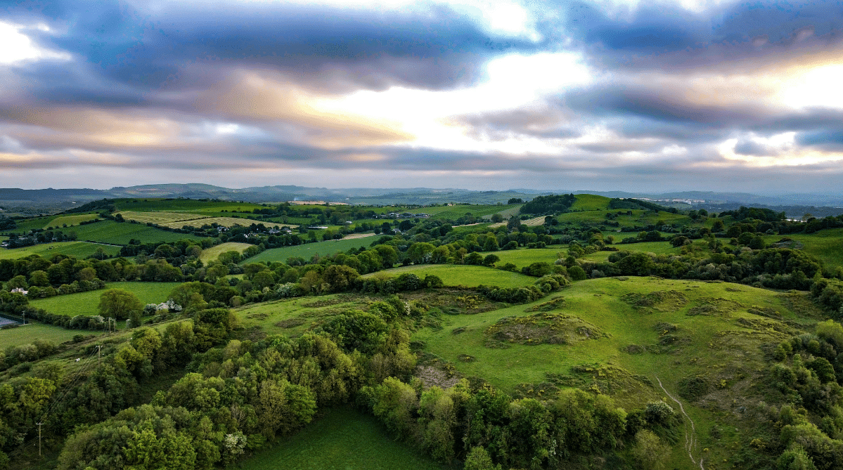 Green landscape in Ireland