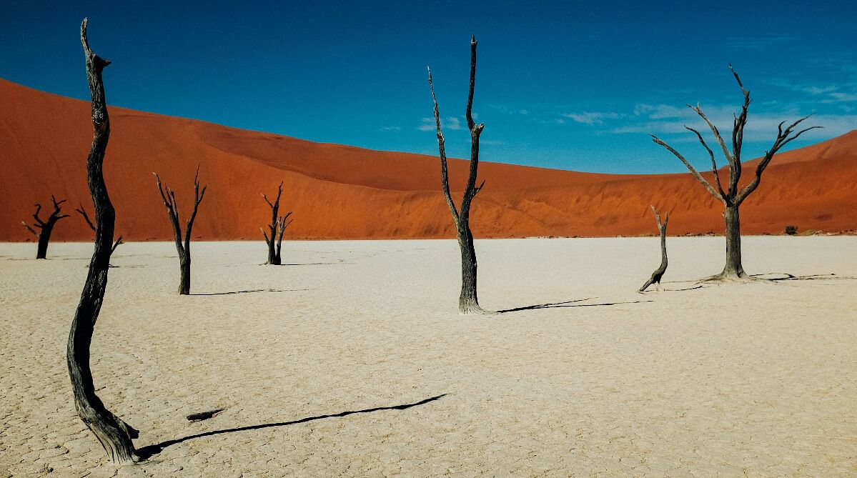 sossusvlei namibia