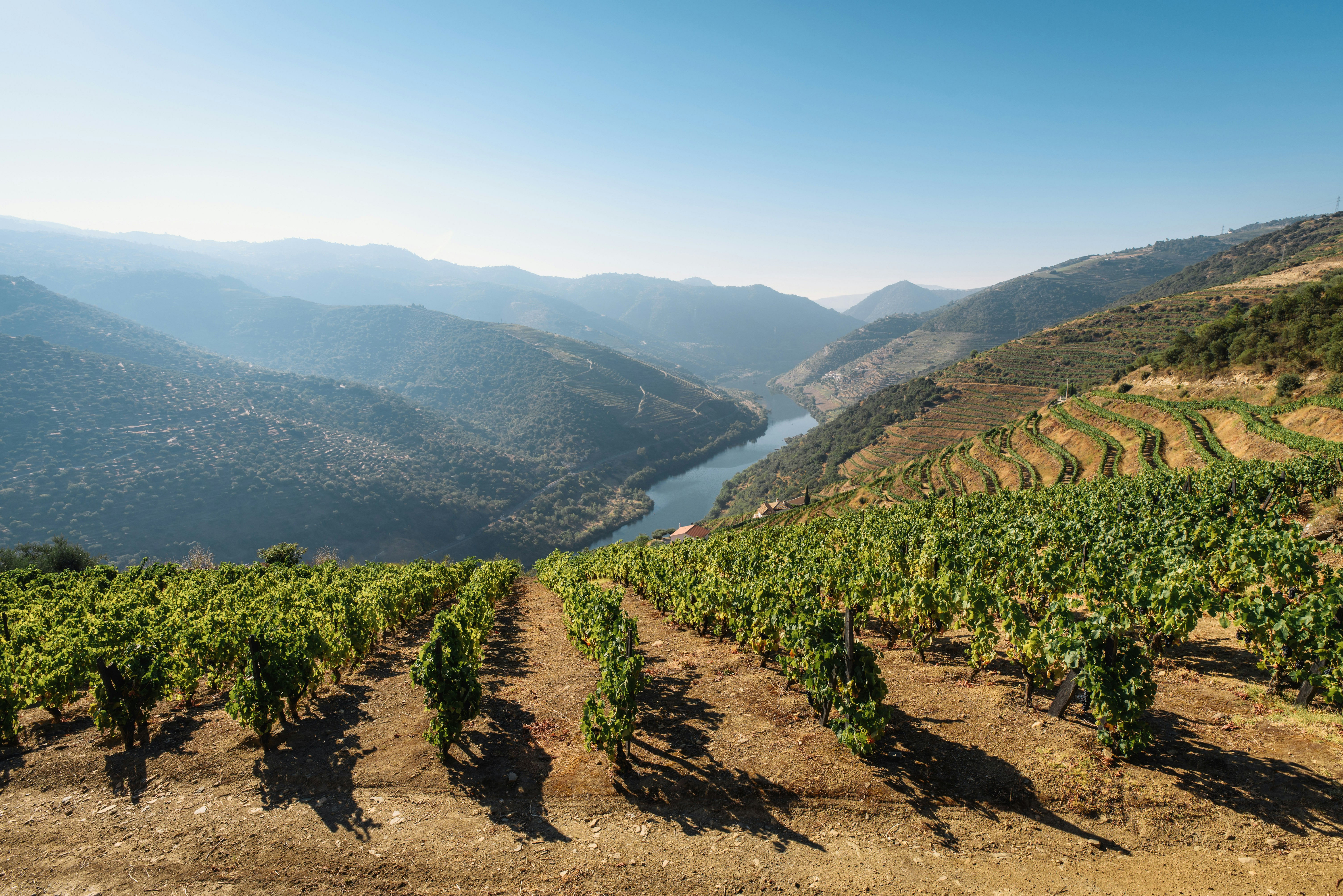 The Douro Valley, Portugal