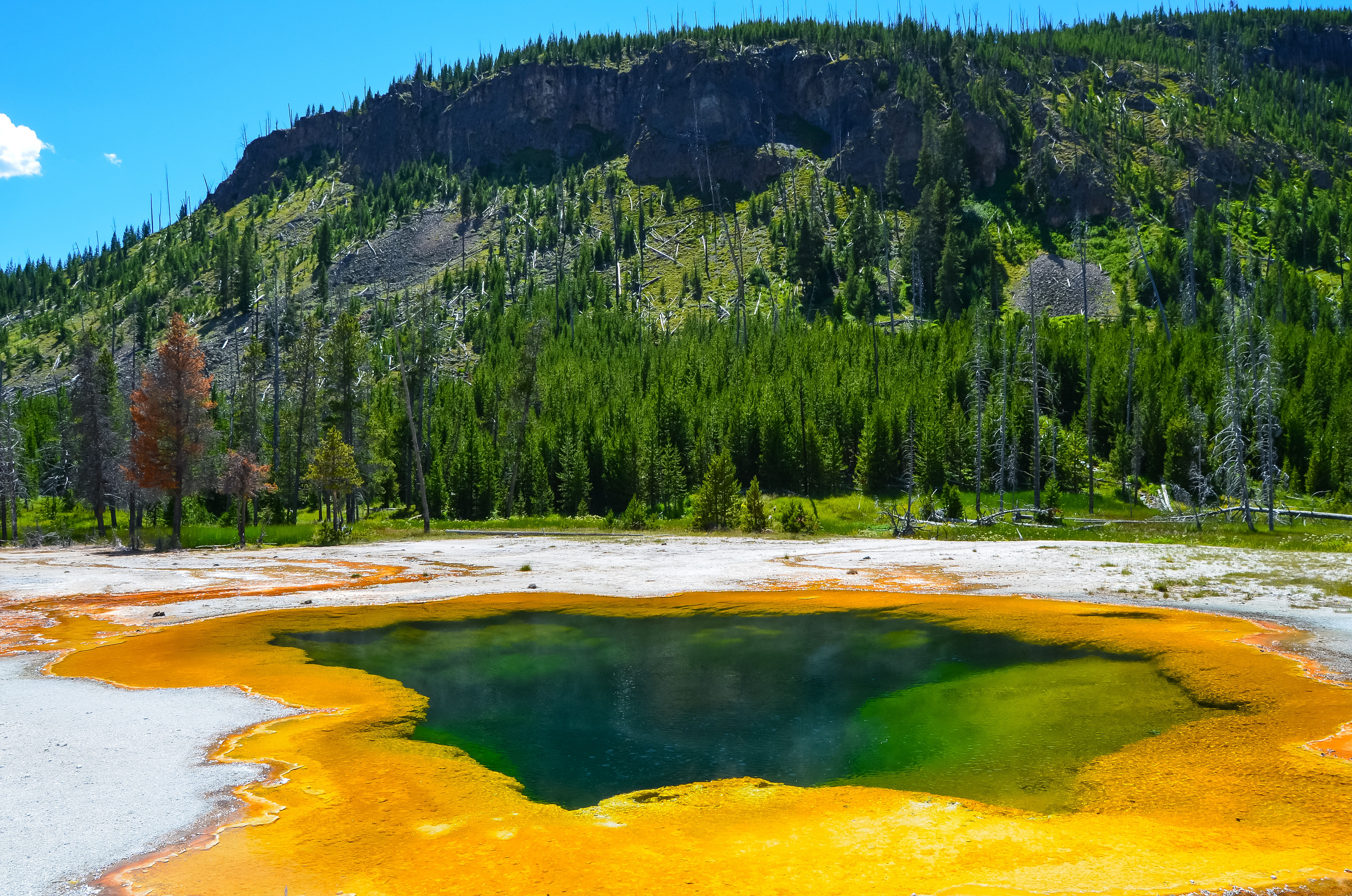 Parque Yellowstone