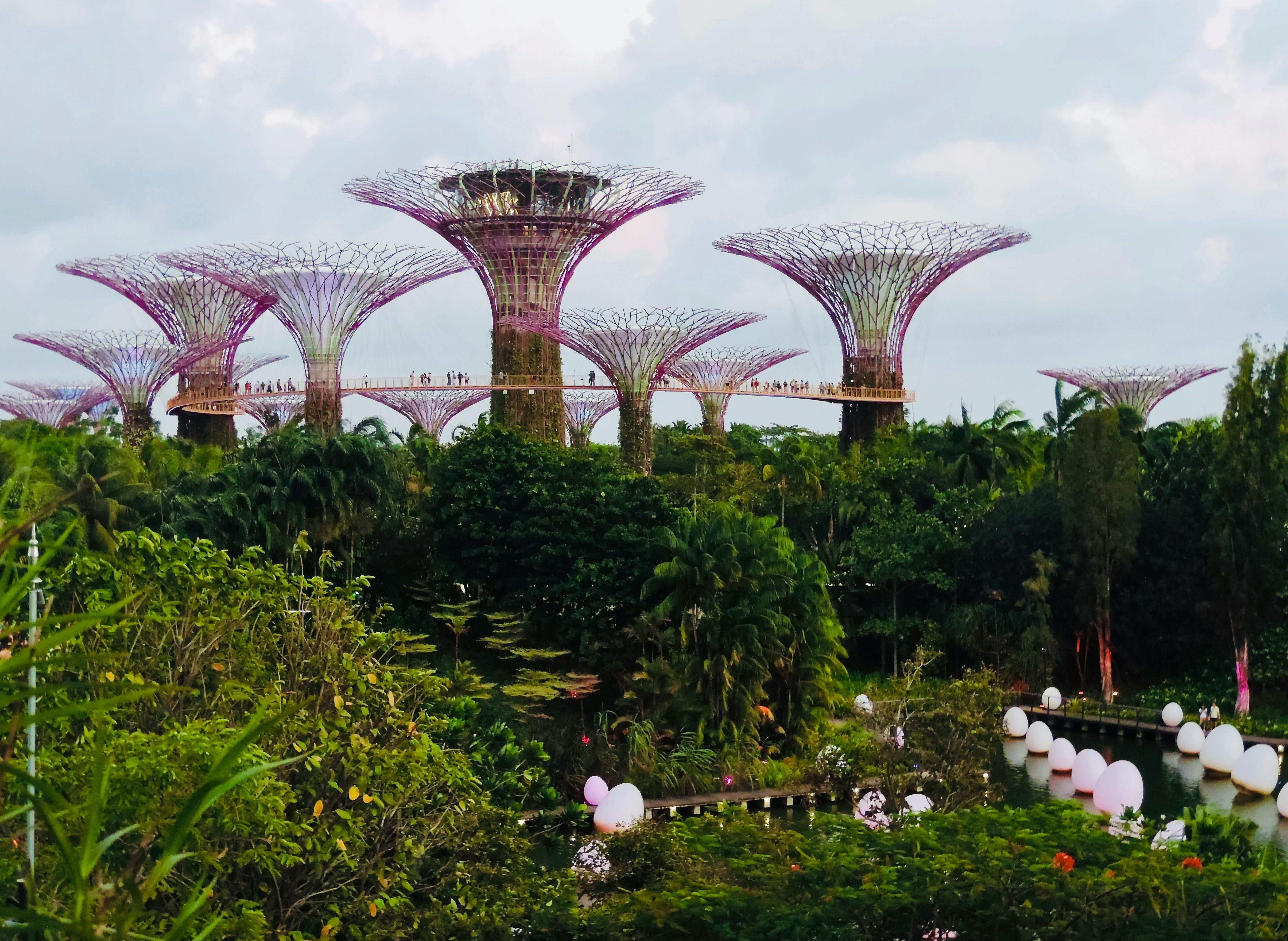 Singapore Gardens by the Bay