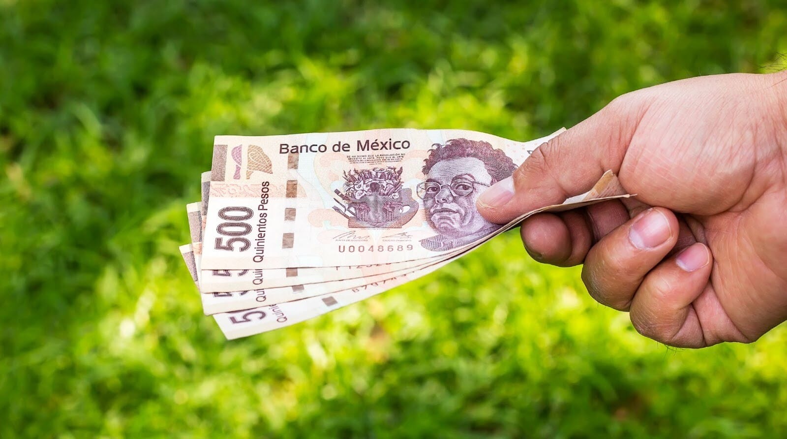 Qual moeda levar para o México: peso ou dólar? Na imagem, uma mão segurando 4 cédulas de 500 pesos mexicanos.