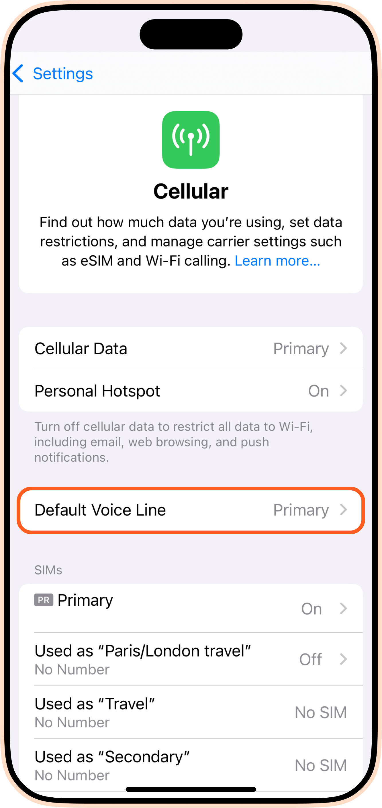 Default voice line iPhone