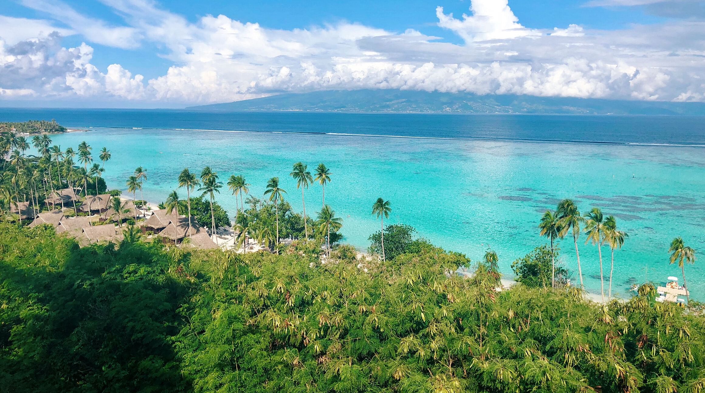 Beach in Moorea, French Polynesia