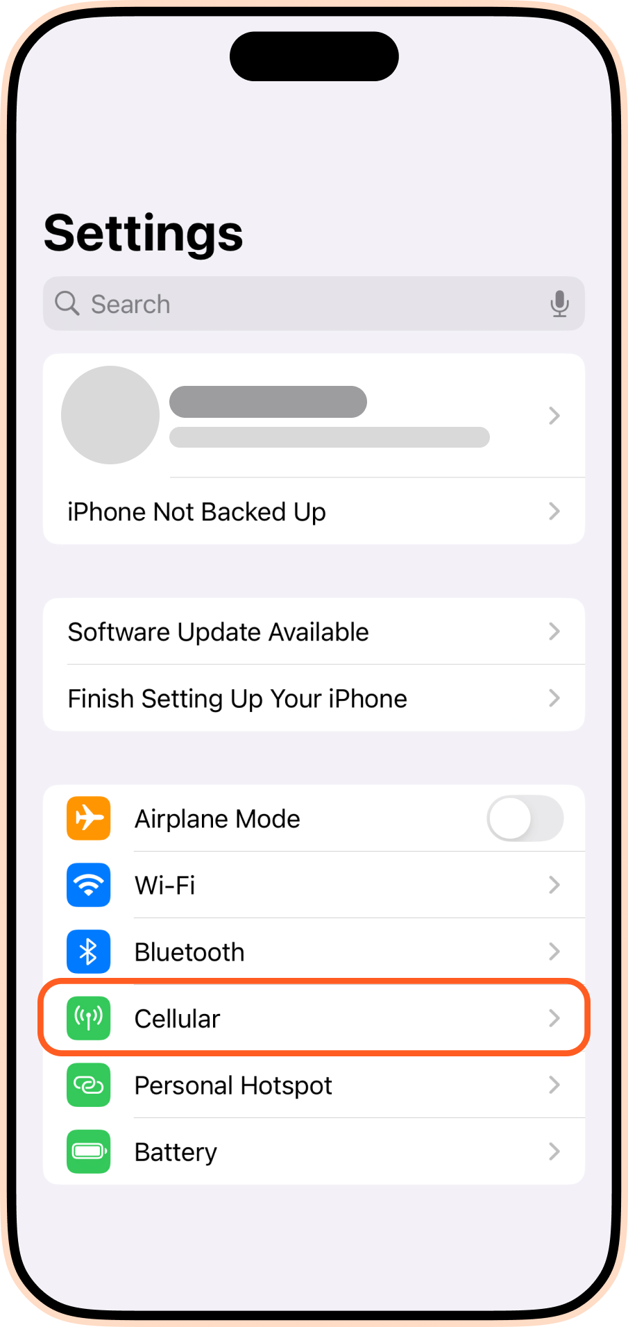 Cellular data iPhone