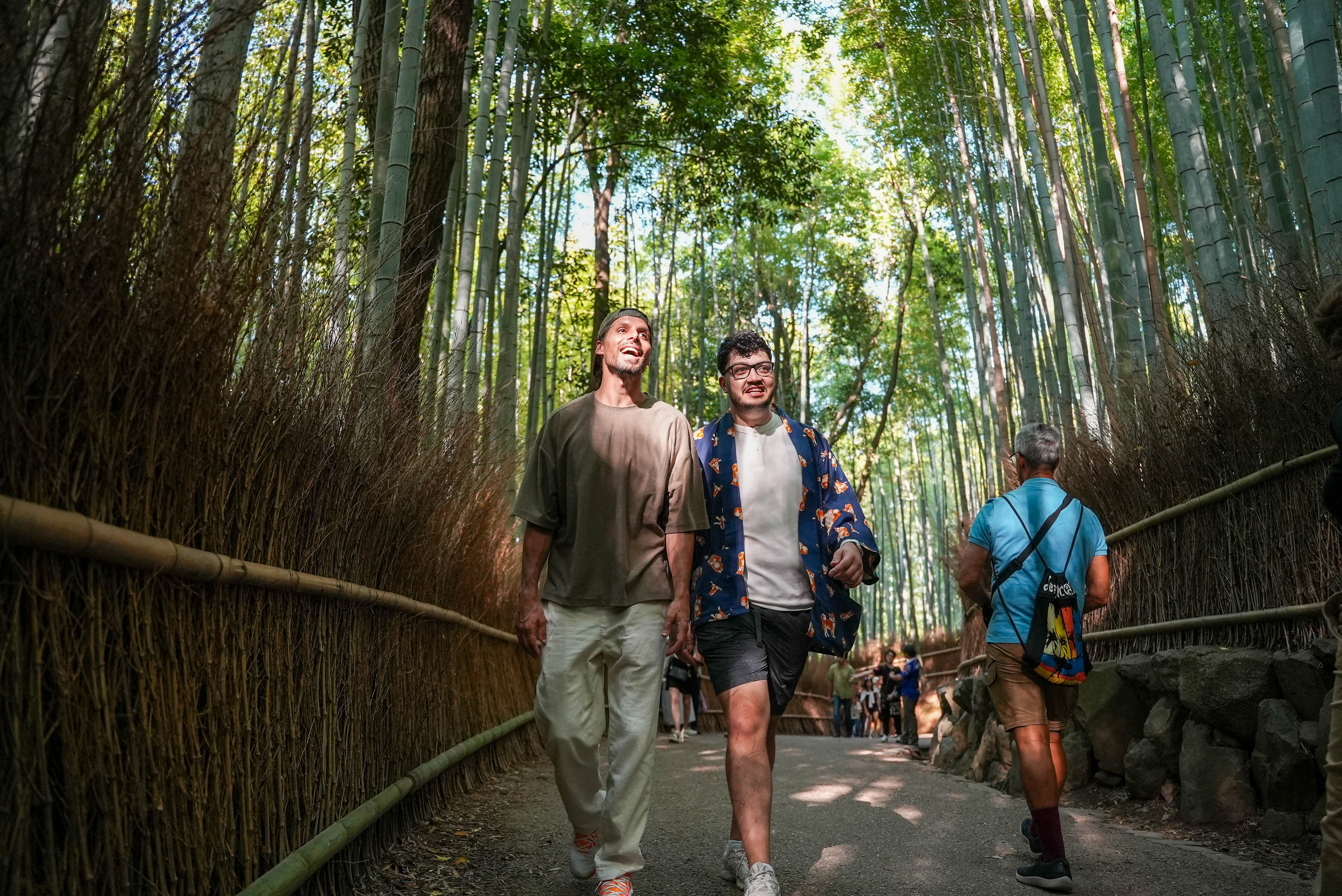 Arashiyama Bamboo Forest