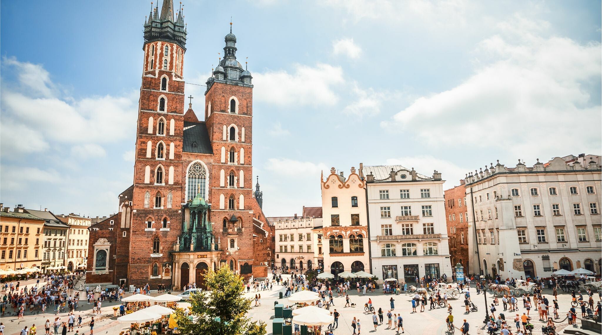 Cracovia