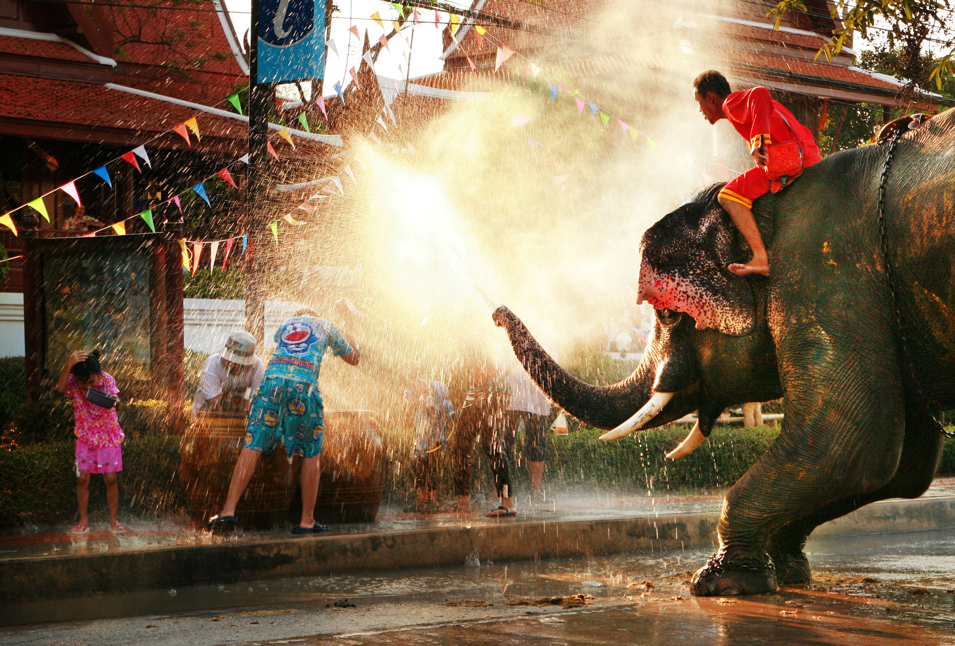 Elefant bei Songkran in Thailand