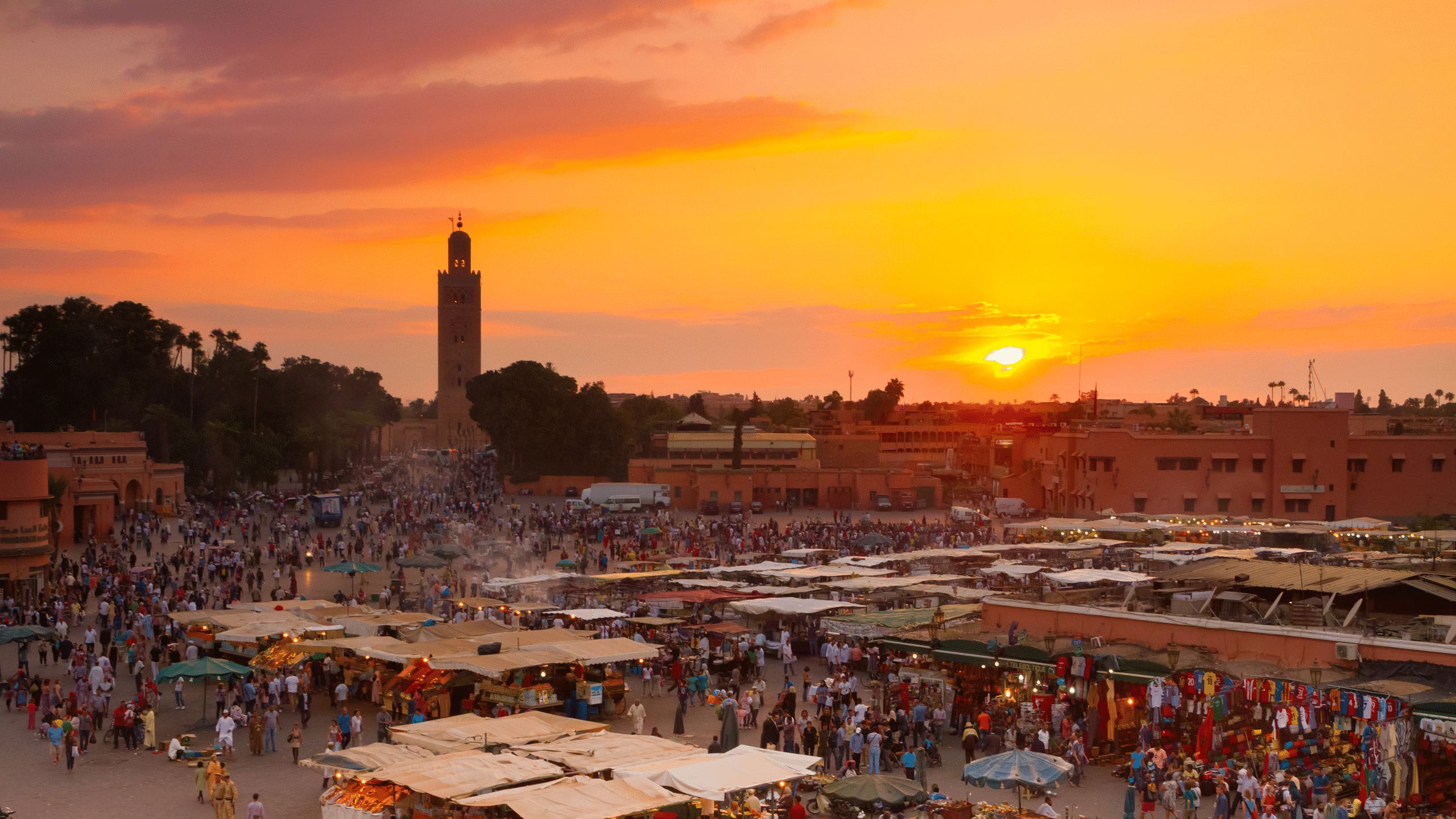 Giorno 1: esplora la Medina e i suoi tesori